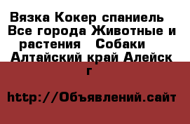 Вязка Кокер спаниель - Все города Животные и растения » Собаки   . Алтайский край,Алейск г.